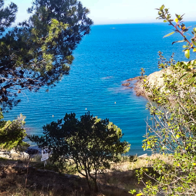 WhatsApp-Image-2026-03-07-at-16